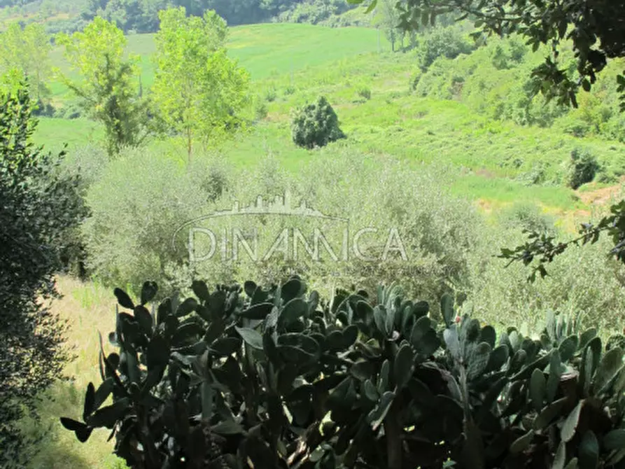 Immagine 45 di Villa in vendita  a Casciana Terme Lari