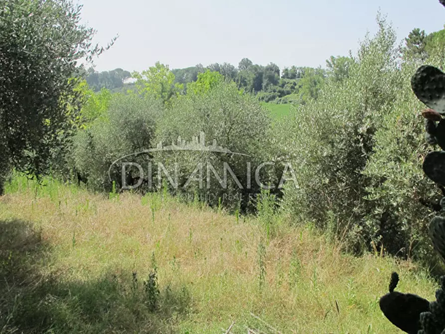 Immagine 48 di Villa in vendita  a Casciana Terme Lari