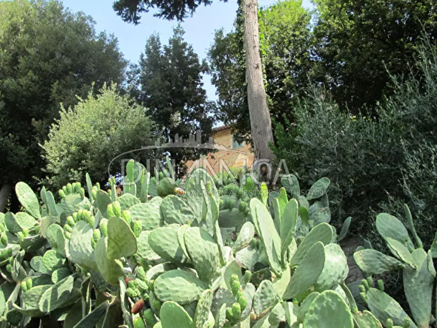Immagine 49 di Villa in vendita  a Casciana Terme Lari