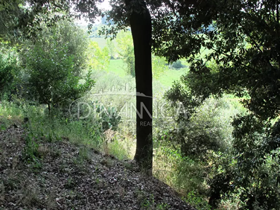 Immagine 50 di Villa in vendita  a Casciana Terme Lari