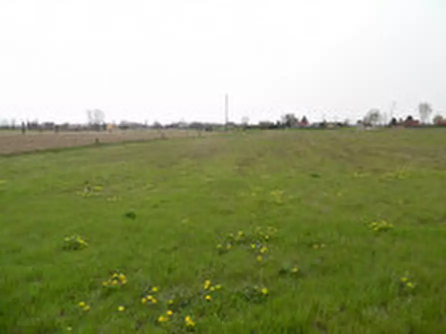 Immagine 2 di Terreno in vendita  in quartiere magnolia a Tribano