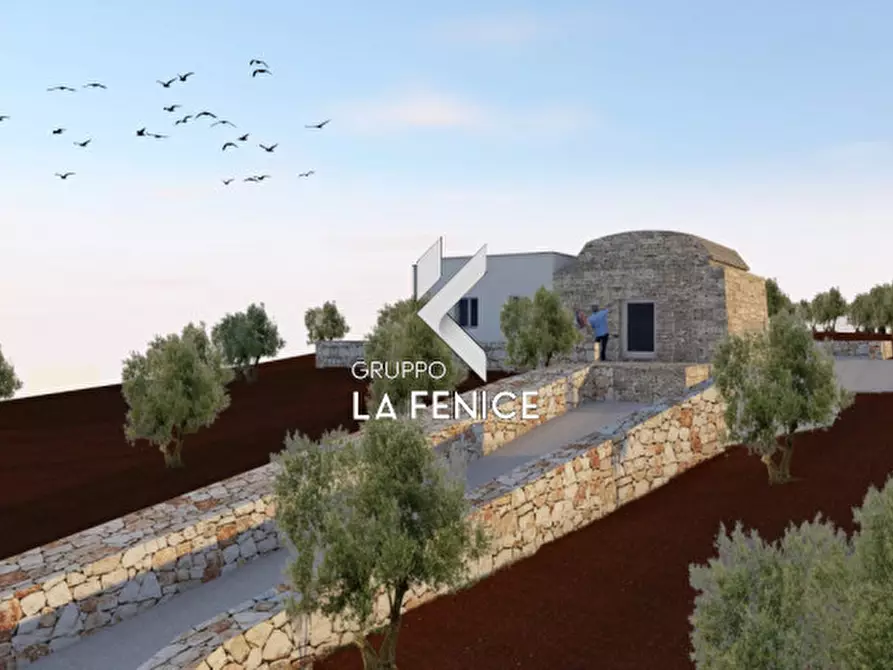 Immagine 9 di Rustico / casale in vendita  in contrada Falsegna a Martina Franca