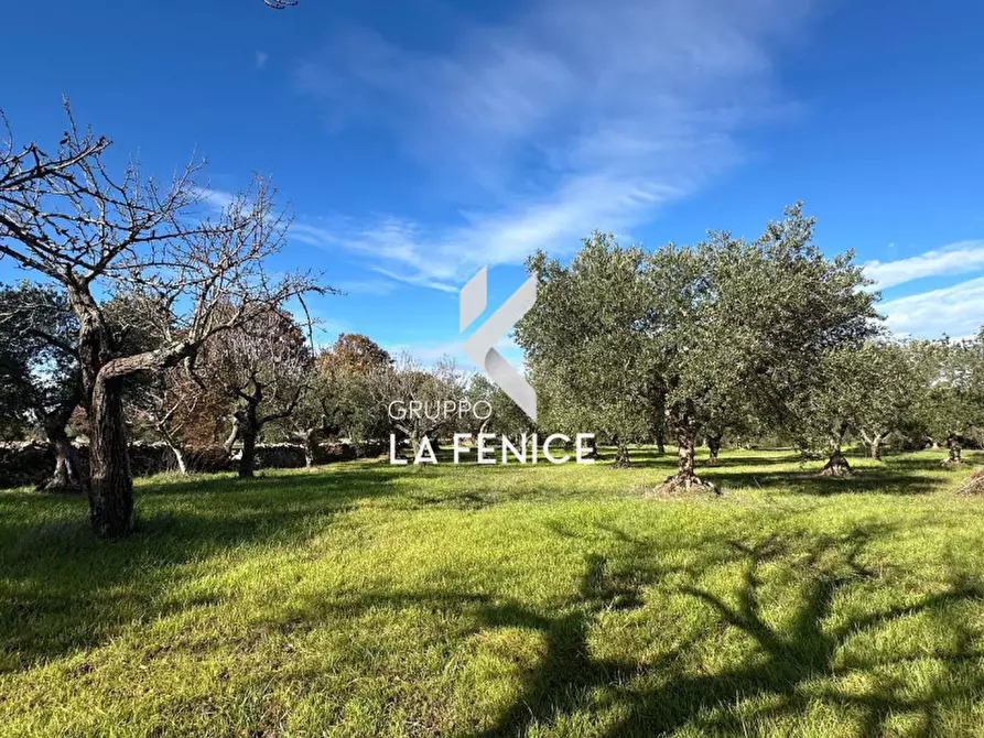 Immagine 17 di Rustico / casale in vendita  in contrada Falsegna a Martina Franca