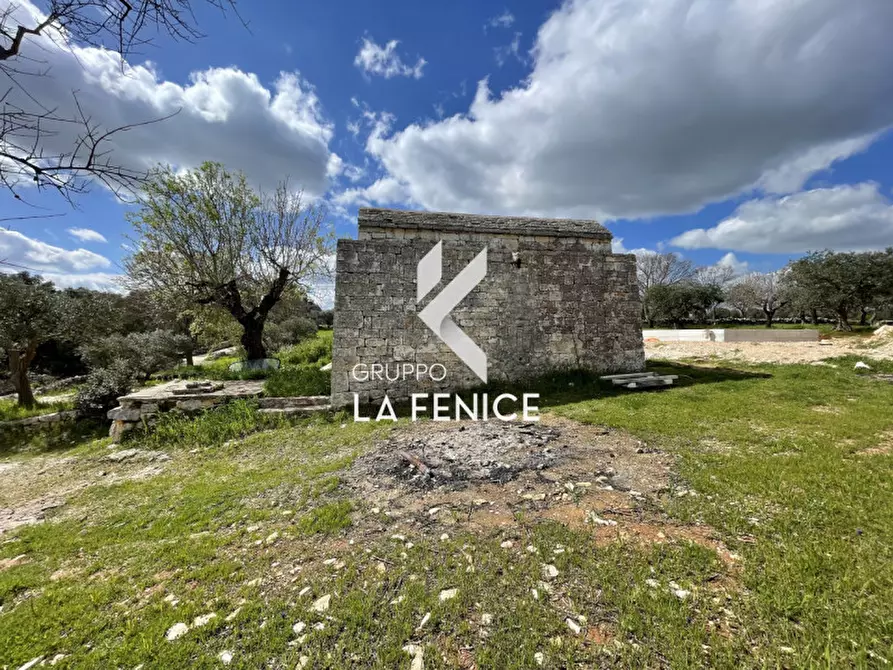 Immagine 26 di Rustico / casale in vendita  in contrada Falsegna a Martina Franca