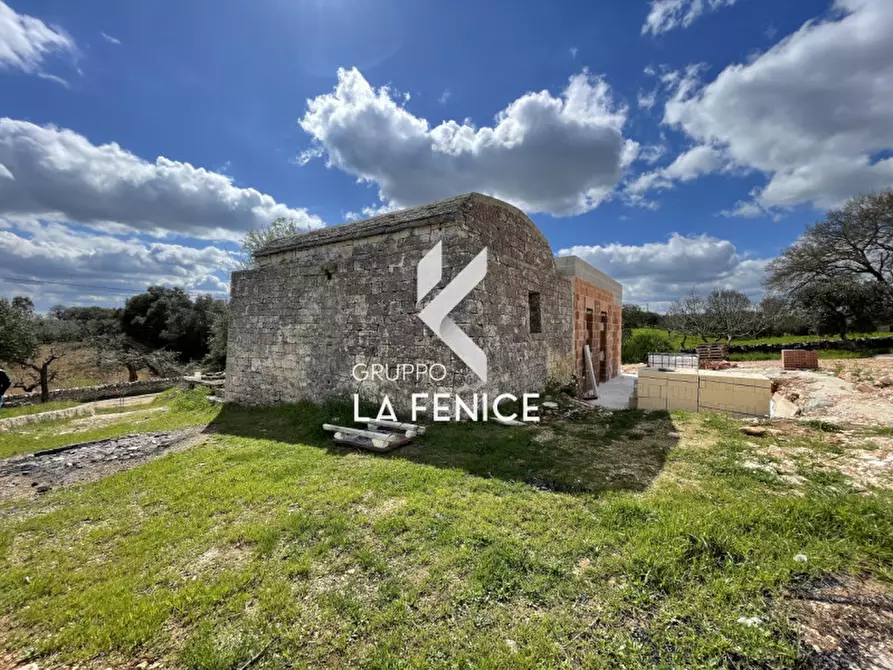 Immagine 27 di Rustico / casale in vendita  in contrada Falsegna a Martina Franca