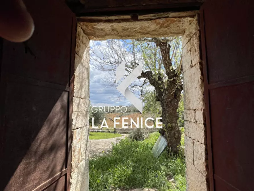 Immagine 49 di Rustico / casale in vendita  in contrada Falsegna a Martina Franca