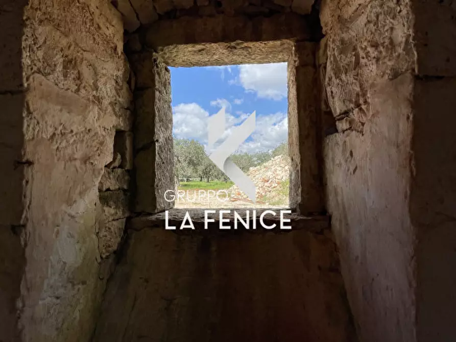 Immagine 50 di Rustico / casale in vendita  in contrada Falsegna a Martina Franca