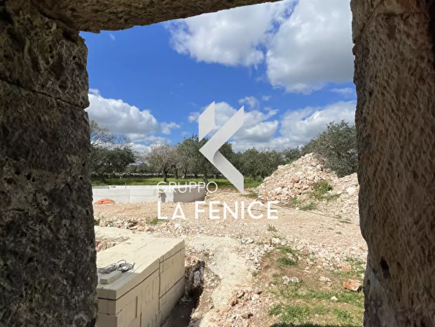 Immagine 51 di Rustico / casale in vendita  in contrada Falsegna a Martina Franca