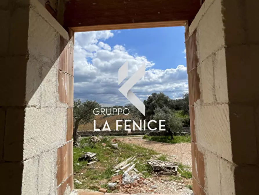 Immagine 53 di Rustico / casale in vendita  in contrada Falsegna a Martina Franca