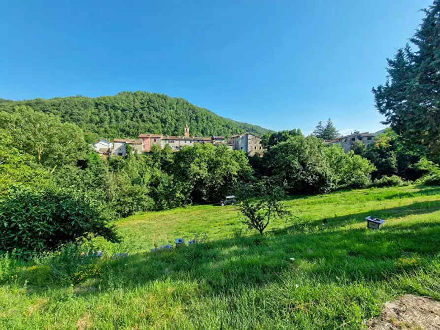 Immagine 25 di Appartamento in vendita  in Piazza del Pino a Borgo Pace