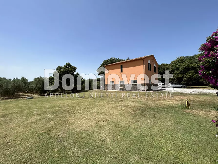 Immagine 25 di Rustico / casale in vendita  in Strada Pescia Fiorentina Chiarone a Capalbio