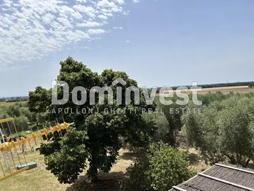 Immagine 32 di Rustico / casale in vendita  in Strada Pescia Fiorentina Chiarone a Capalbio