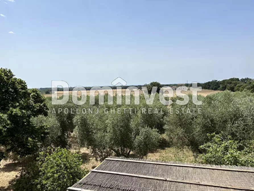 Immagine 33 di Rustico / casale in vendita  in Strada Pescia Fiorentina Chiarone a Capalbio