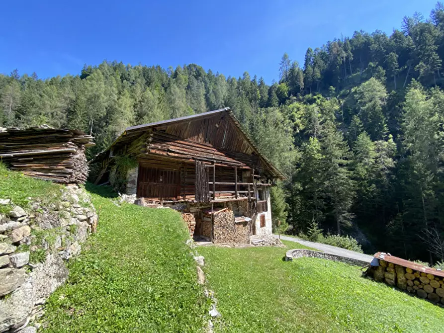 Immagine 3 di Rustico / casale in vendita  in via della grotta a Auronzo Di Cadore