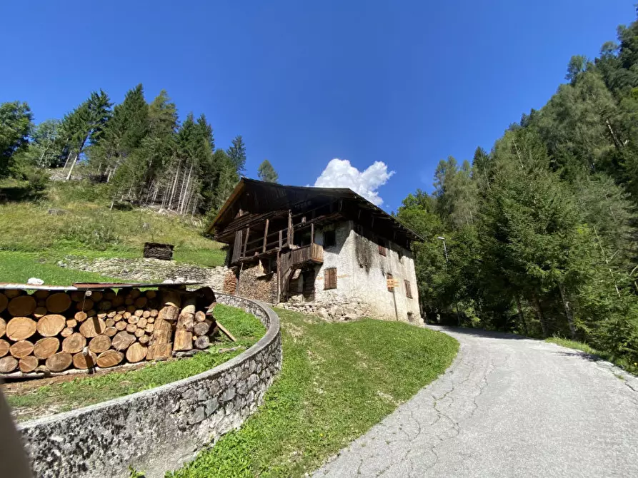 Immagine 4 di Rustico / casale in vendita  in via della grotta a Auronzo Di Cadore