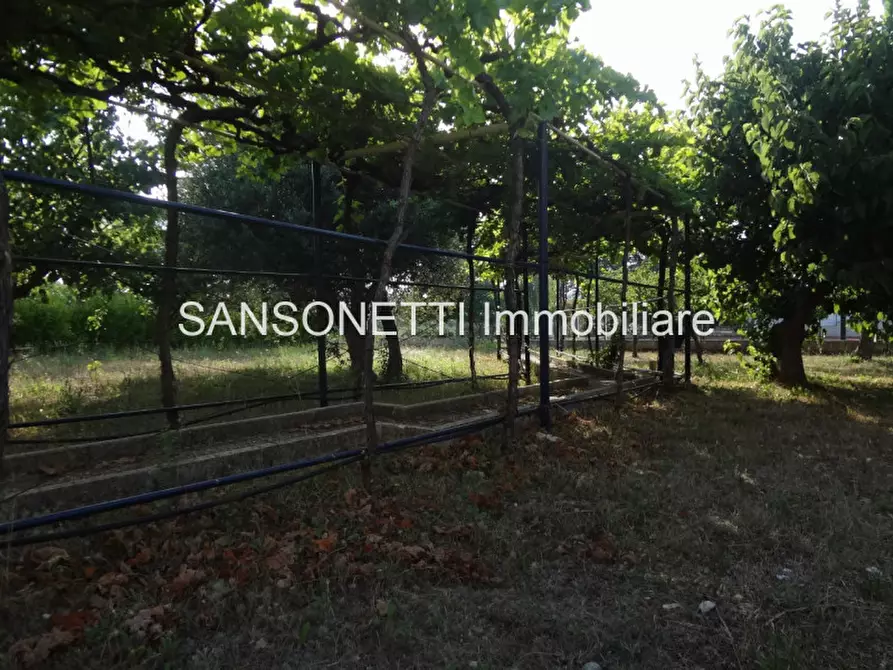 Immagine 43 di Villa in vendita  in CLAUD a Locorotondo