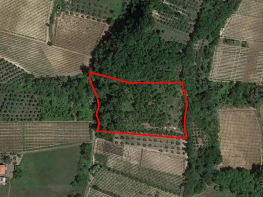 Immagine 1 di Terreno in vendita  in Località Rossiponti, N. snc a Ari
