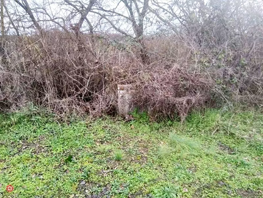 Immagine 2 di Terreno in vendita  a Castiglione Del Lago