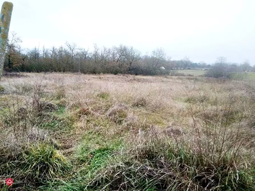 Immagine 4 di Terreno in vendita  a Castiglione Del Lago