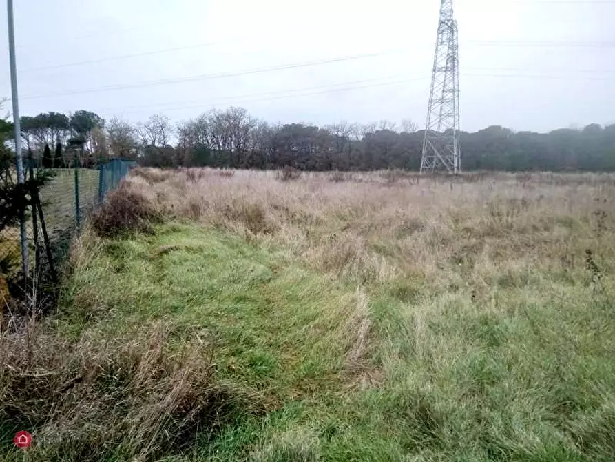 Immagine 5 di Terreno in vendita  a Castiglione Del Lago