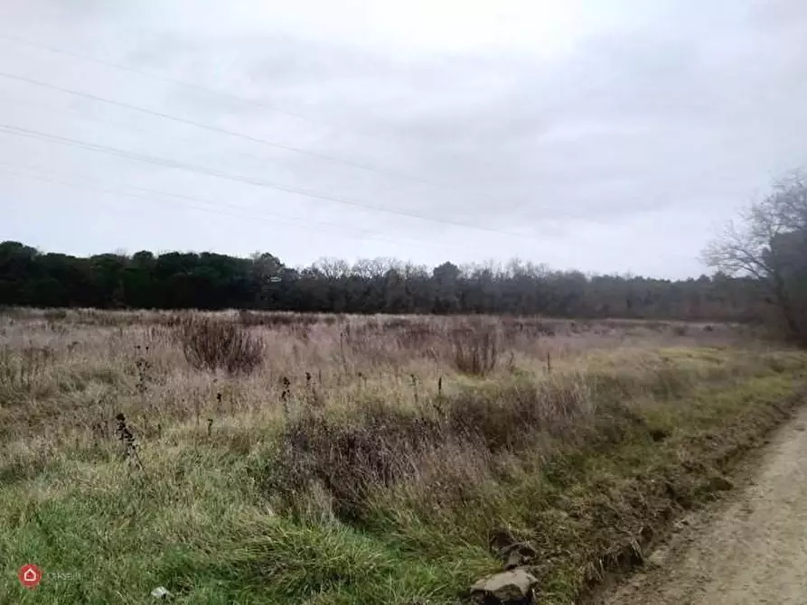 Immagine 6 di Terreno in vendita  a Castiglione Del Lago