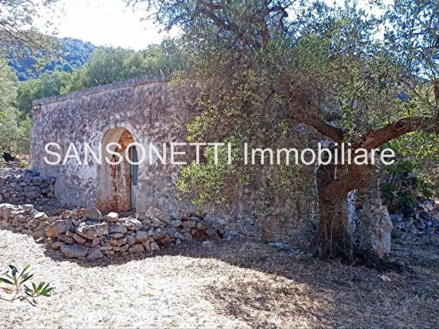 Immagine 57 di Rustico / casale in vendita  in KELLY a Fasano