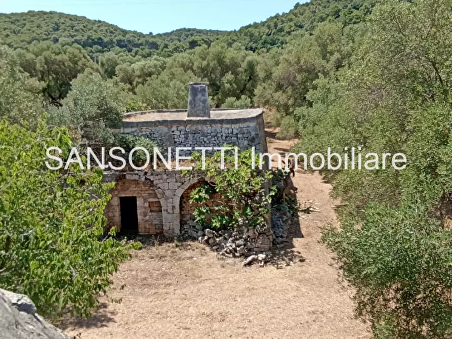 Immagine 59 di Rustico / casale in vendita  in KELLY a Fasano