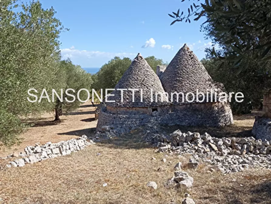 Immagine 66 di Rustico / casale in vendita  in KELLY a Fasano