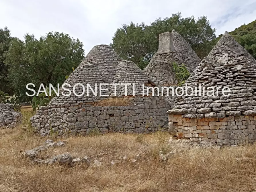 Immagine 73 di Rustico / casale in vendita  in KELLY a Fasano