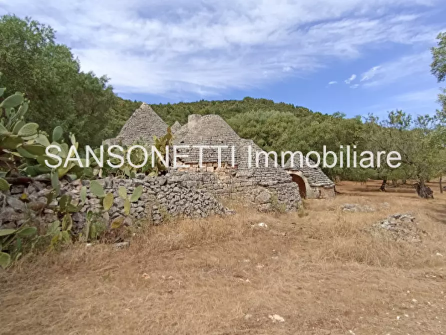 Immagine 74 di Rustico / casale in vendita  in KELLY a Fasano