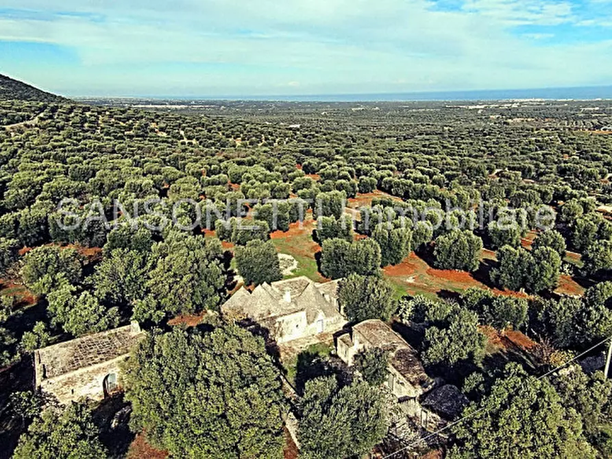 Immagine 78 di Rustico / casale in vendita  in KELLY a Fasano