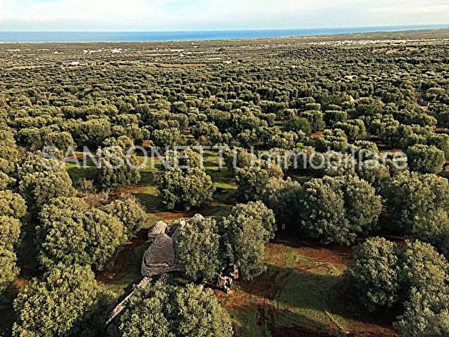 Immagine 81 di Rustico / casale in vendita  in KELLY a Fasano