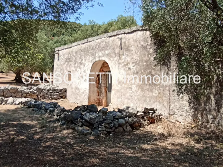 Immagine 85 di Rustico / casale in vendita  in KELLY a Fasano