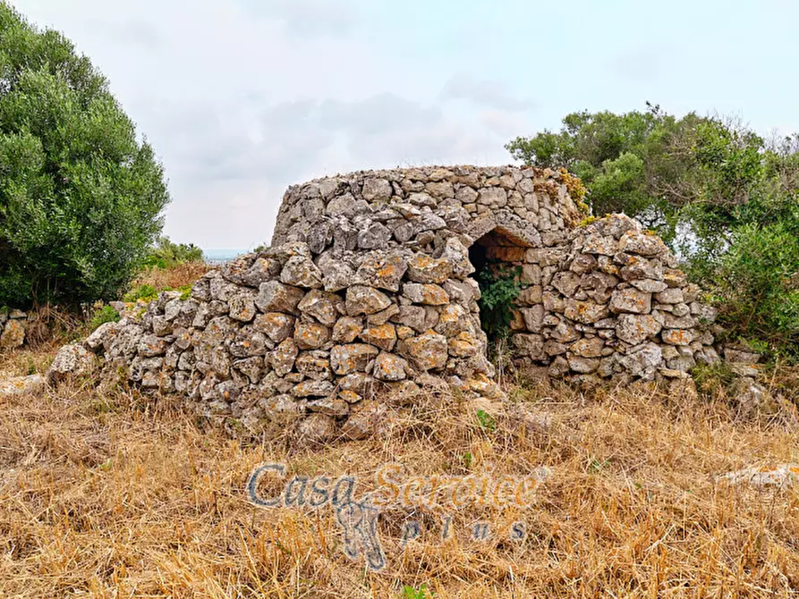 Immagine 1 di Terreno in vendita  in sp-202 a Racale