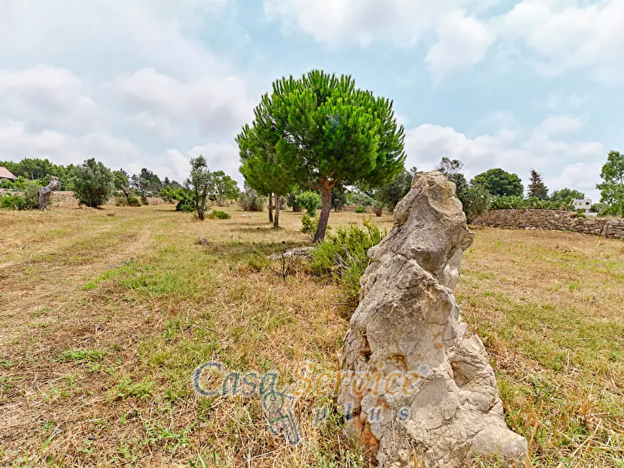 Immagine 2 di Terreno in vendita  in sp-202 a Racale