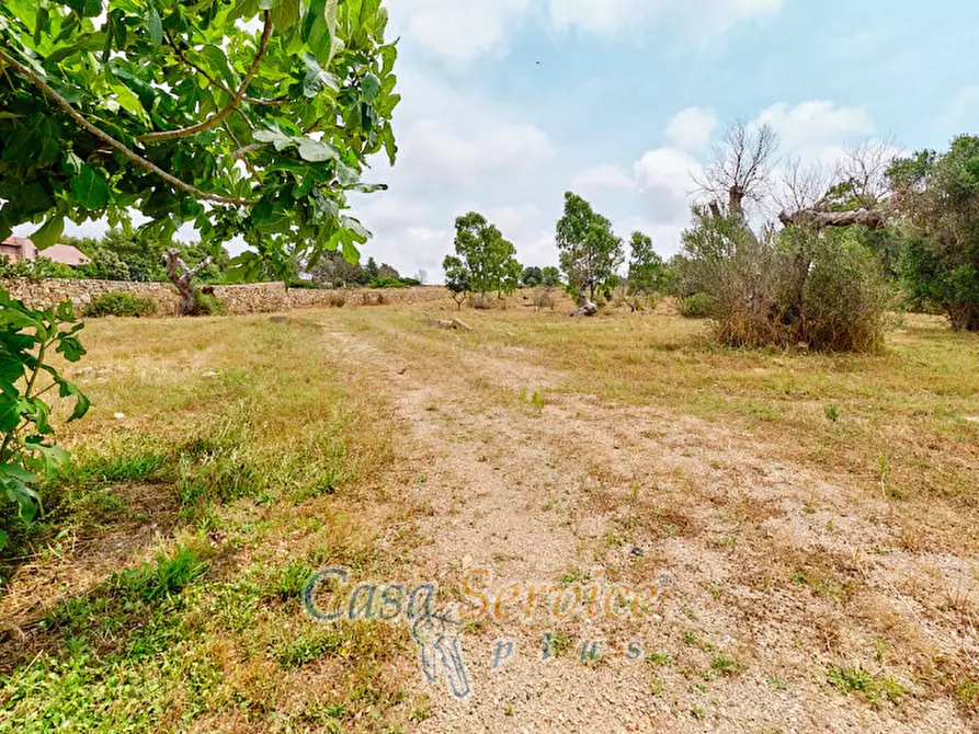 Immagine 4 di Terreno in vendita  in sp-202 a Racale