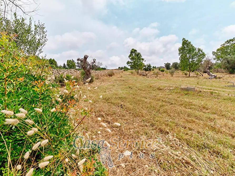 Immagine 5 di Terreno in vendita  in sp-202 a Racale