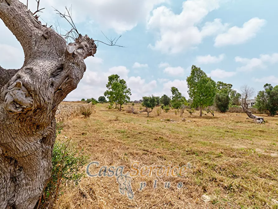 Immagine 6 di Terreno in vendita  in sp-202 a Racale