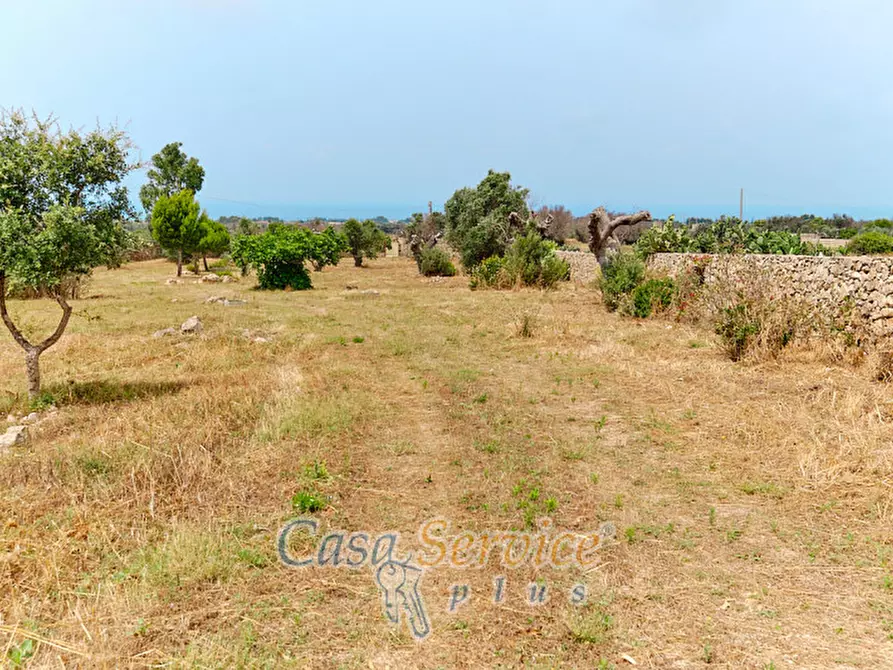 Immagine 7 di Terreno in vendita  in sp-202 a Racale
