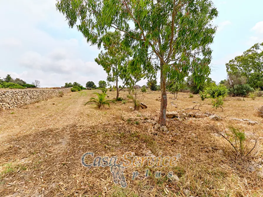 Immagine 8 di Terreno in vendita  in sp-202 a Racale