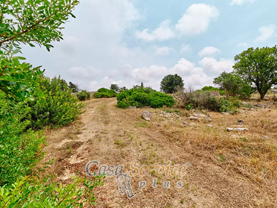 Immagine 9 di Terreno in vendita  in sp-202 a Racale