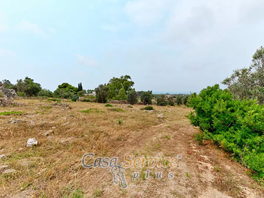 Immagine 10 di Terreno in vendita  in sp-202 a Racale