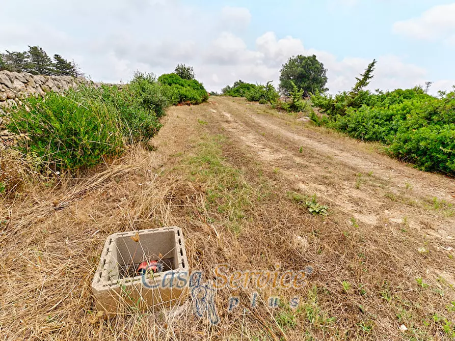 Immagine 11 di Terreno in vendita  in sp-202 a Racale