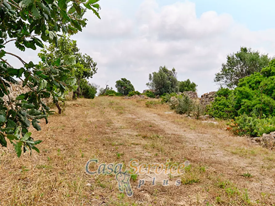 Immagine 12 di Terreno in vendita  in sp-202 a Racale