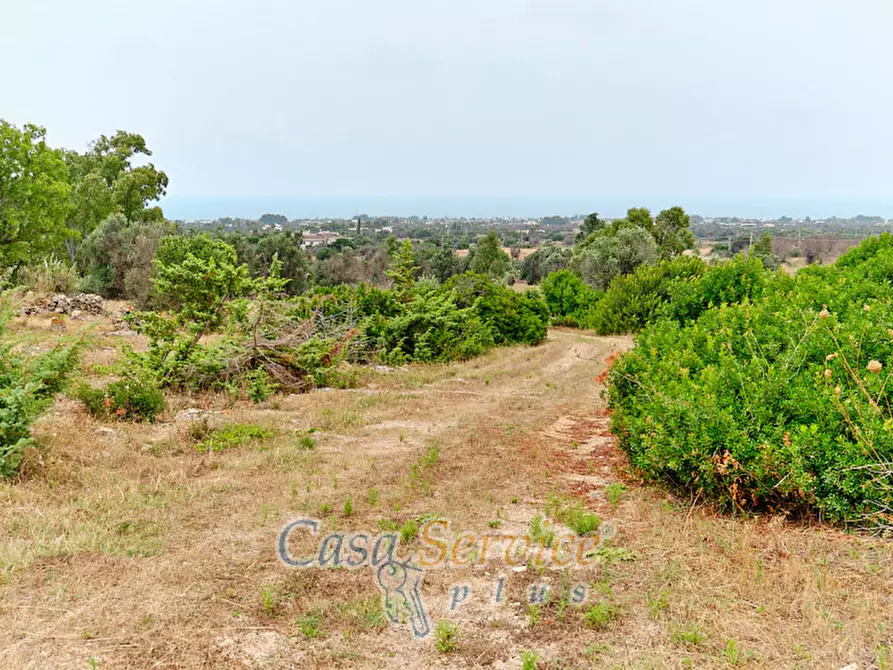 Immagine 13 di Terreno in vendita  in sp-202 a Racale