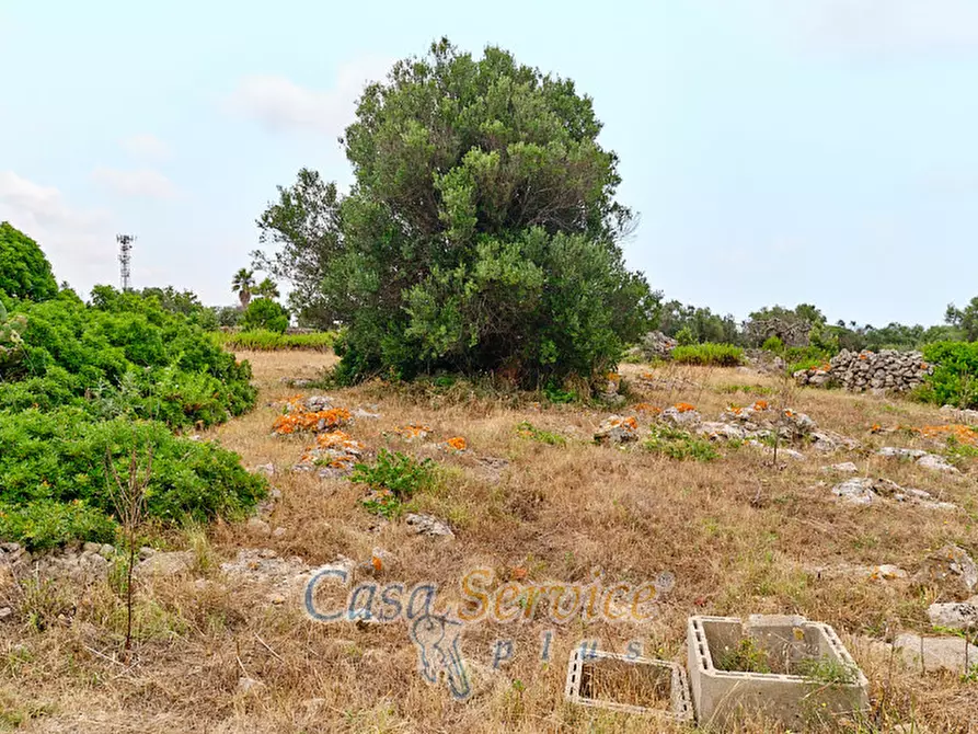 Immagine 14 di Terreno in vendita  in sp-202 a Racale