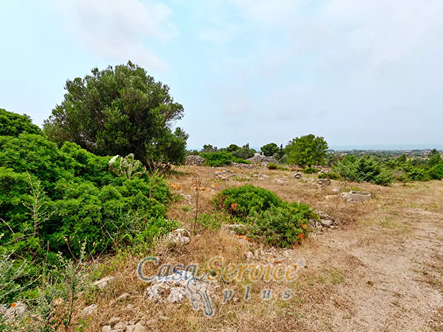 Immagine 15 di Terreno in vendita  in sp-202 a Racale