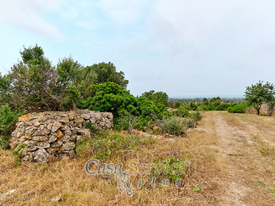 Immagine 16 di Terreno in vendita  in sp-202 a Racale