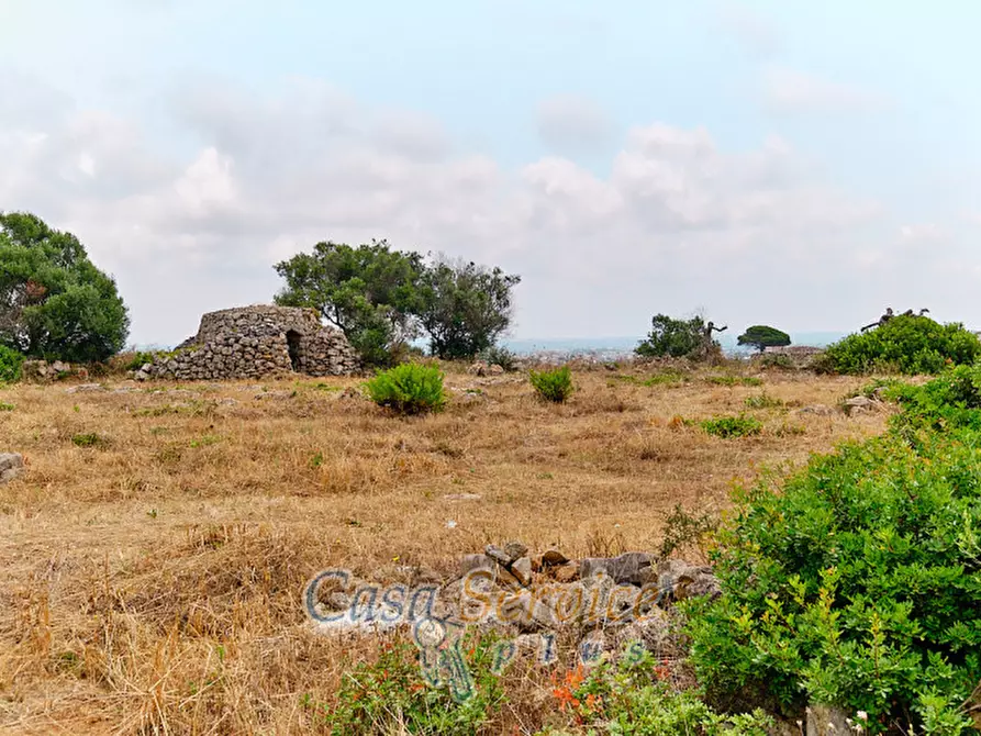 Immagine 17 di Terreno in vendita  in sp-202 a Racale