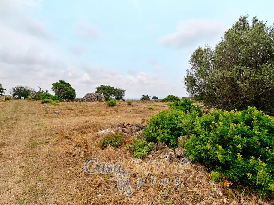 Immagine 18 di Terreno in vendita  in sp-202 a Racale